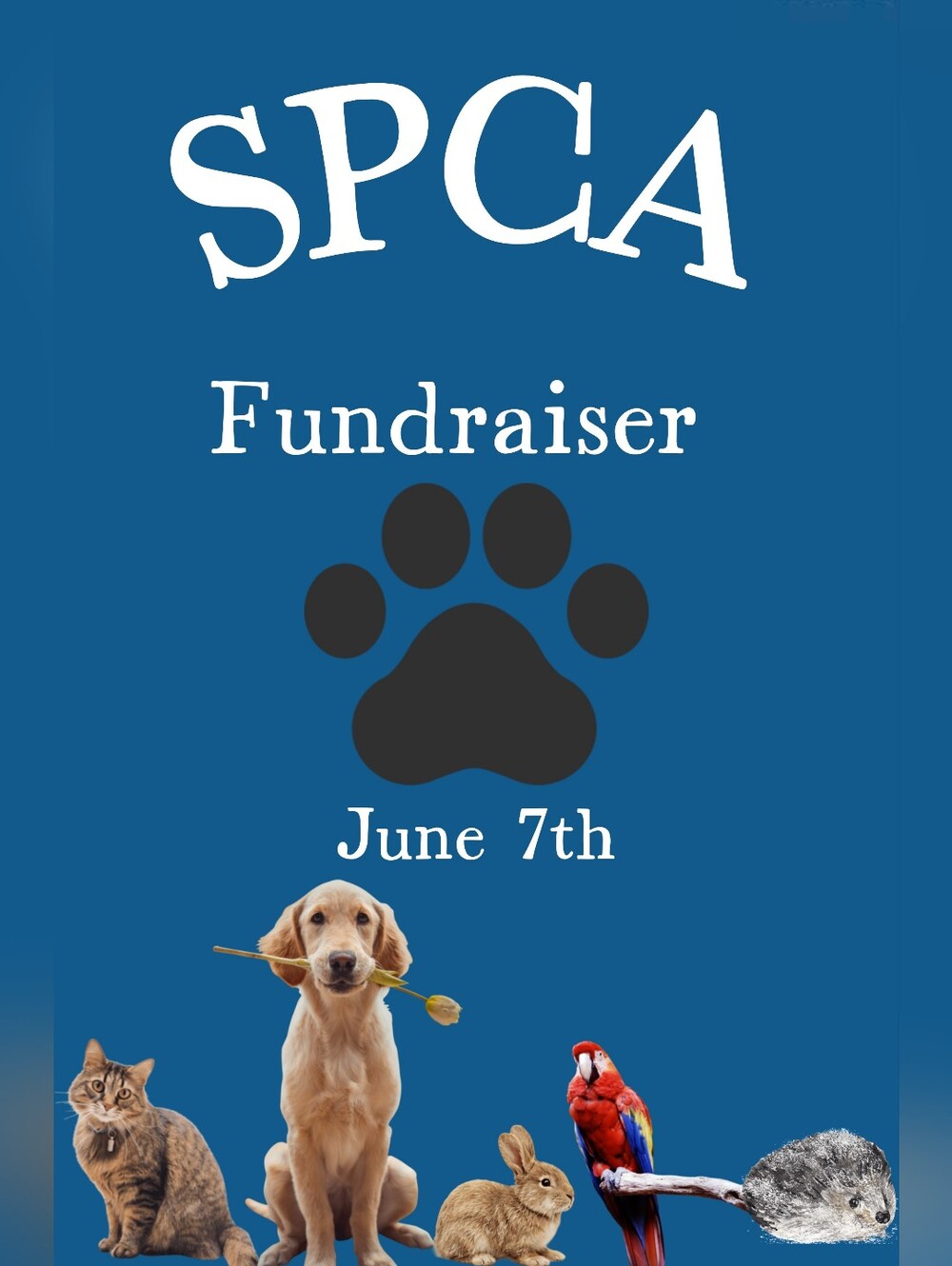 JUNE 7TH: SPCA FUNDRAISER!